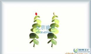建筑模型耗材 模型材料 塑胶花_橡胶塑料_世界工厂网中国产品信息库